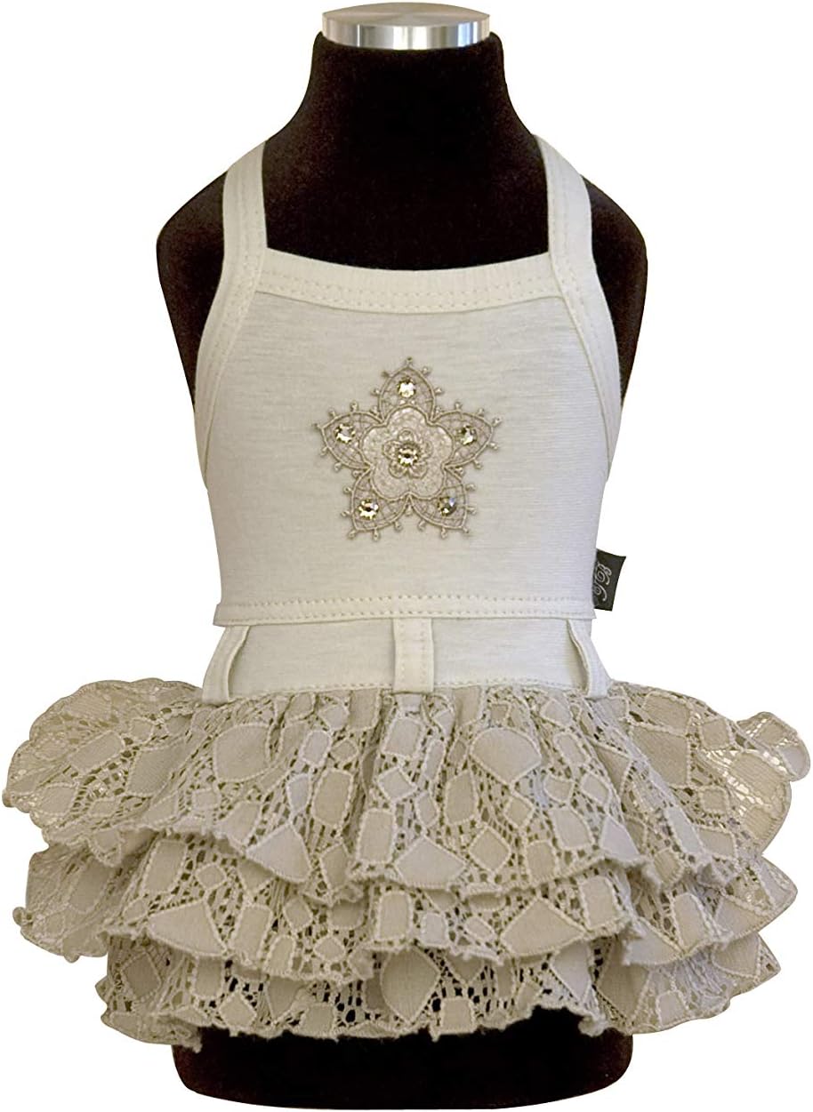 Trilly Tutti Brilli Elena Women's Jersey Dress with Lace and Flower with Swarovski Stones, Beige, XS