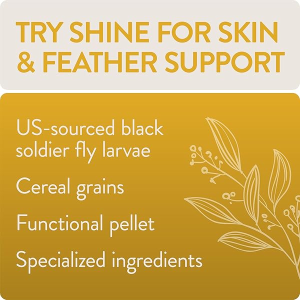 FLOCKLEADER SHINE, FUNCTIONAL POULTRY TREATS FOR SKIN AND FEATHER SUPPORT, 1.5 LB
