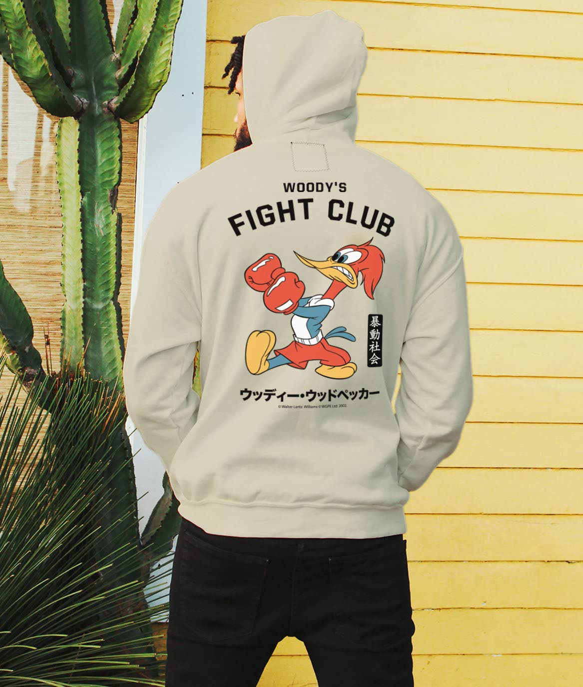 Riot Society Men's Graphic or Embroidered Hoodie Hooded Sweatshirt