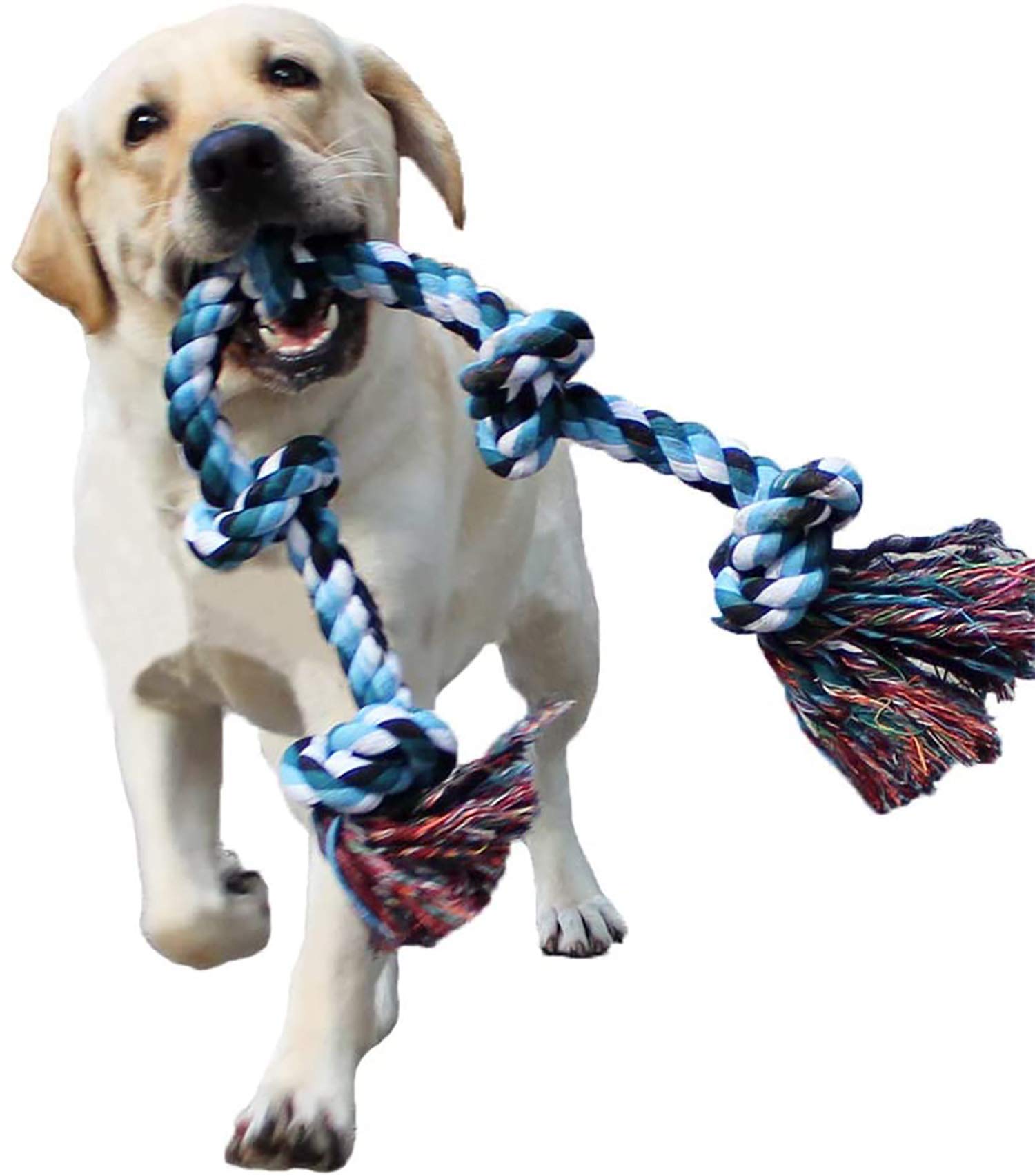 long dog rope