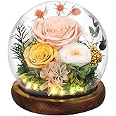 Emibele Valentines Eternal Rose Gifts for Her Girlfriend, Preserved Real Rose in Glass Dome with LED Light, Flowers for Delivery Prime, Birthday Anniversary for Women Wife Mom