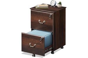 DEVAISE File Cabinet 2-Drawer, Small Office Furniture with Lock, Rolling Under Desk Filing Cabinet for Home Office, Brown Oak