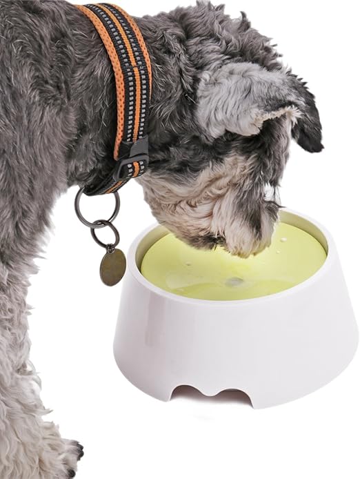 Fontaine à eau pour chien,Speedy Pet