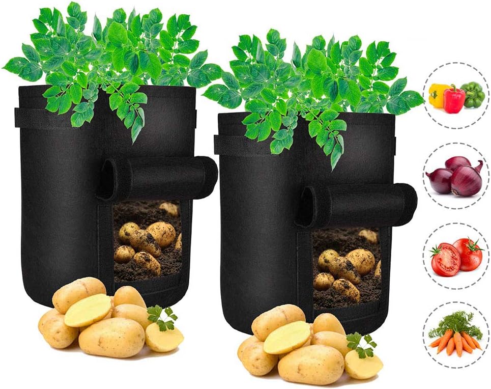 DegGod Plant Grow Bags, 2 Pack 5 Gallon Fabric Garden Potato Planter Bag with Flap Window, Large Nursery Pots for Planting Strawberries Vegetables (5 Gallon)
