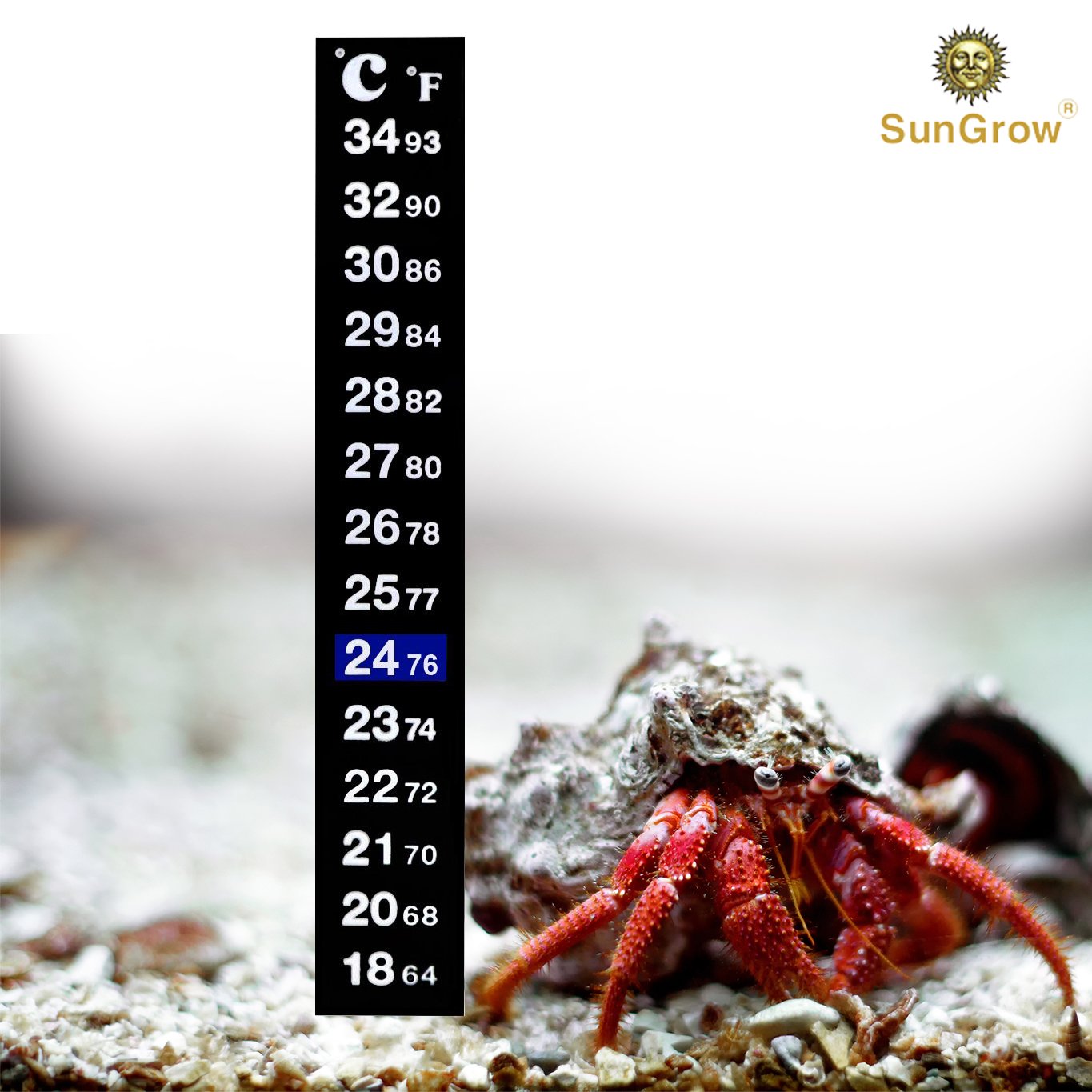 Stick-on Thermometer for Hermit Crabs -- Provide Precise Temperature Measurement - Easy To Use and Install - Helps Keep Crabs Healthy & Live Longer
