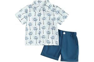 ALLSHOPE Toddler Baby Boy Summer Outfit Short Sleeve Shirts Top and Casual Shorts Set Cute Kids Clothes 12 18 24 Months 2T
