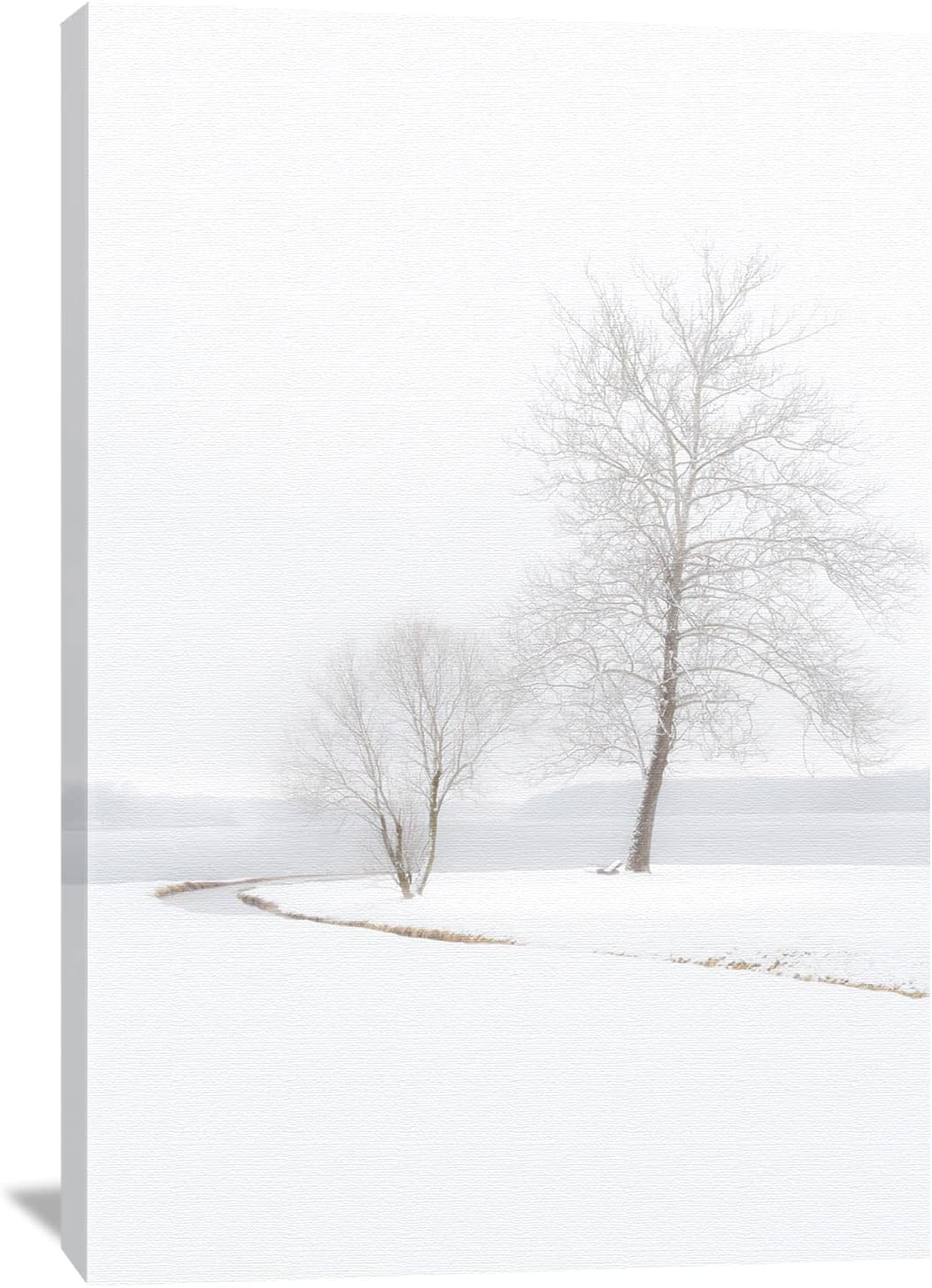 Photographs - Winter Landscape Canvas Wall Art of Snow Covered Trees Along the Lake for Living Room Cabin Decor (12x18)