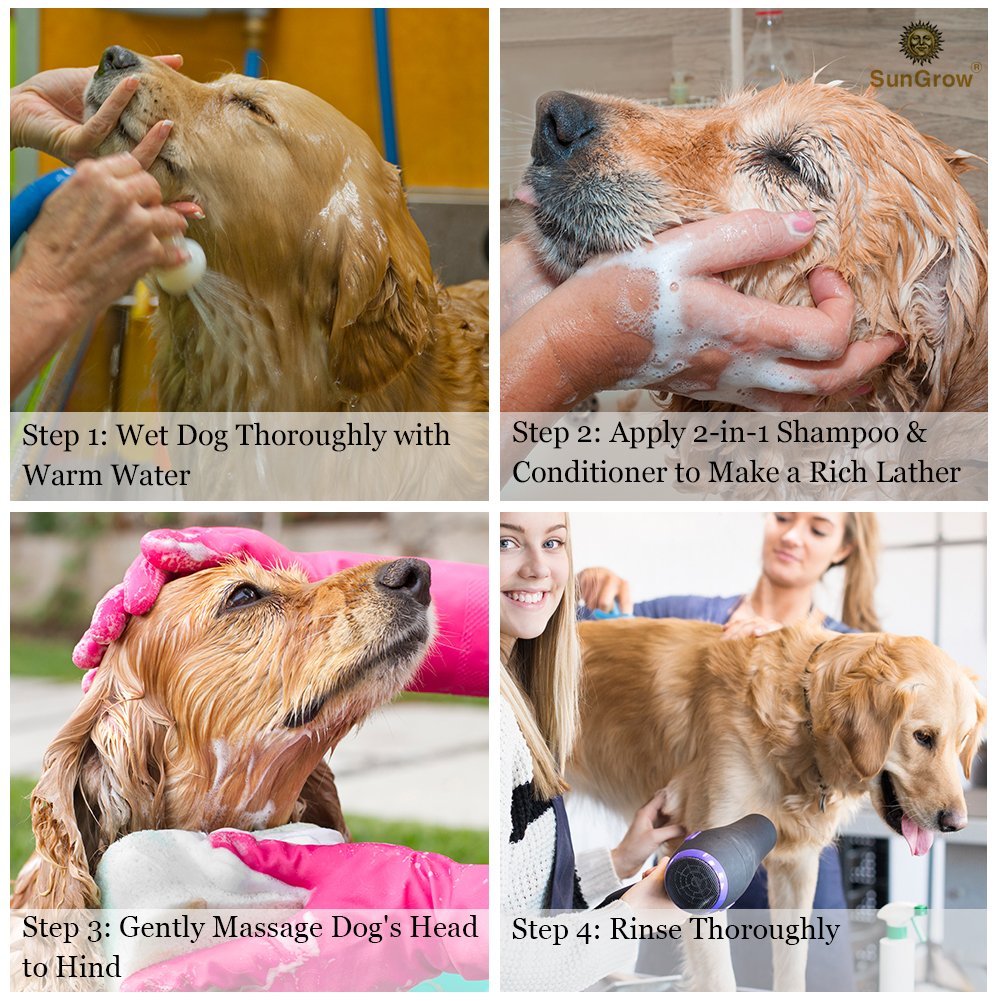 SunGrow Vet Trusted 2-in-1 100% Organic, Medicinal Pet Shampoo Plus Conditioner for Cats/Dogs, Deodorizes, Moisturizes and Improves Coat/Fur Enriched with Aloe Vera/Coconut