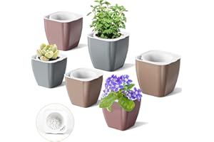 HEMOPLT Indoor Plant Pots - Self Watering Planters - Pack of 6, 5" & 7" African Violet/Orchid Pots - Champagne Gold - Silver - Rose Gold