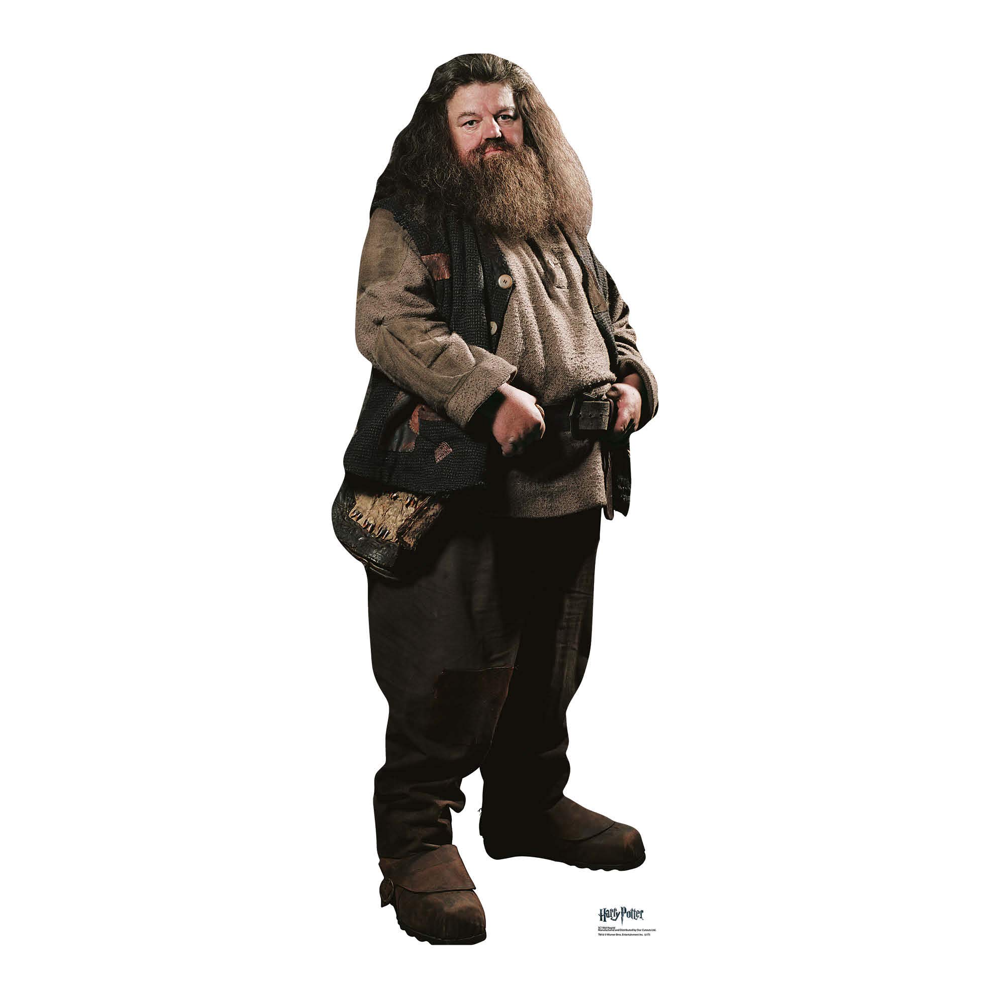Star Cutouts SC1964 Hagrid Small Cardboard Cutout – Official Harry Potter Party & Bedroom Display – 91cm Tall