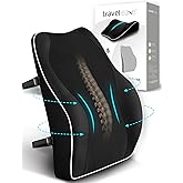 Ergonomic Lumbar Support Cushion, TRAVEL EASE Memory Foam Back Support Cushion for Office Chairs with Skin-Friendly Cover for