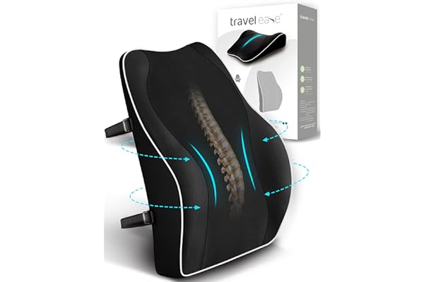 Ergonomic Lumbar Support Cushion, TRAVEL EASE Memory Foam Back Support Cushion for Office Chairs with Skin-Friendly Cover for