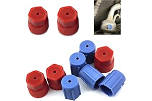 ijuicy 10 PCS Car A/C Valve Core Caps, R134a Air Conditioning Service Port Caps, ABS Plastic Air Conditioning System Seal Kit, 13mm & 16mm (Blue & Red)