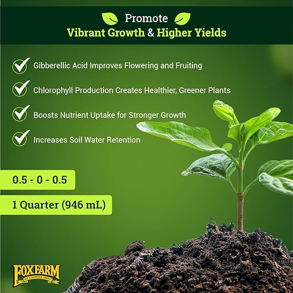 FOXFARM BUSHDOCTOR KELP ME KELP YOU FERTILIZER, LIQUID SEAWEED EXTRACT FOR PLANTS, VEGETABLES, & FLOWERS – PROMOTES ROOT GROWTH & SOIL HEALTH – PERFECT FOR HYDROPONICS & SOIL, NPK 0.5-0-0.5 (QUART)