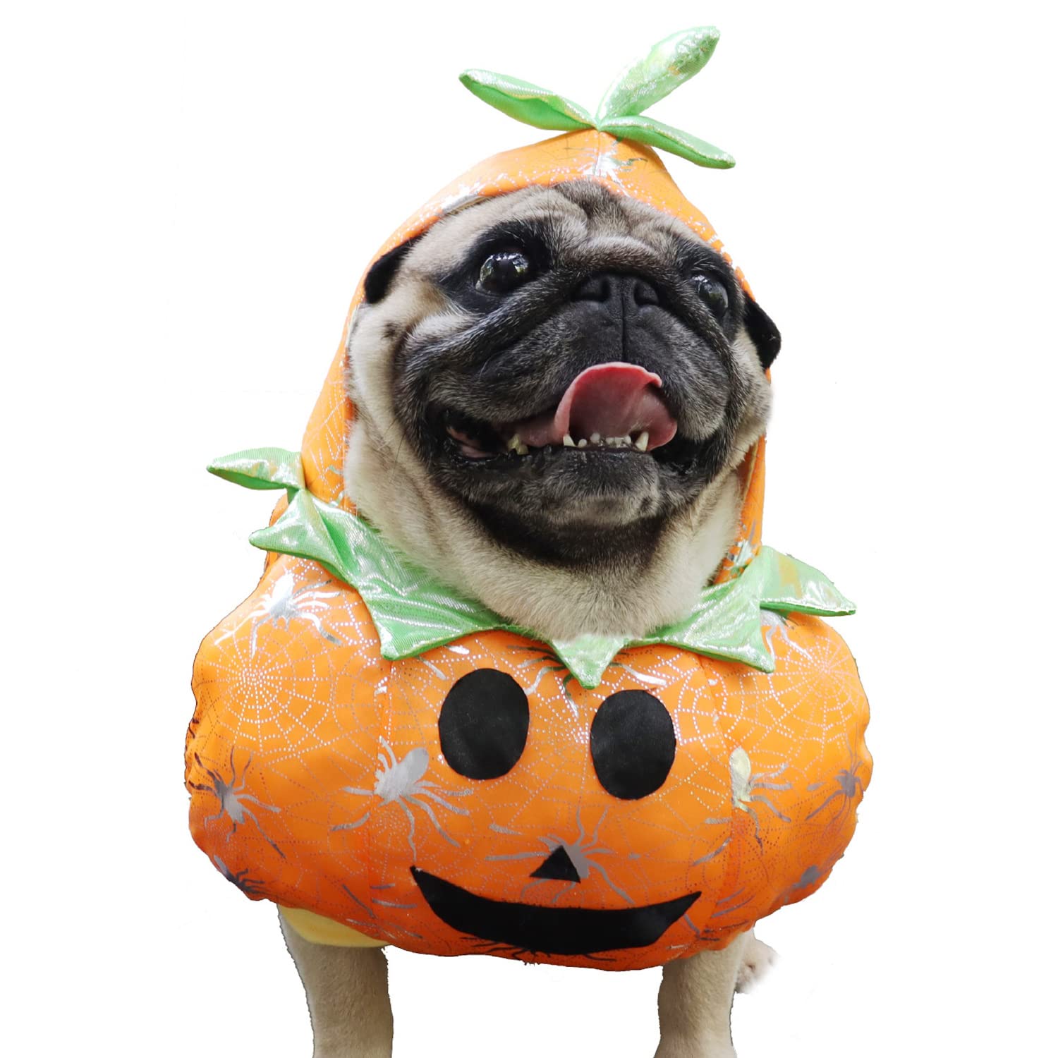 Funny Pumpkin Costume for Small Dogs - Cosplay Dress Up Hat for Puppy, Perfect for Halloween & Christmas Parties