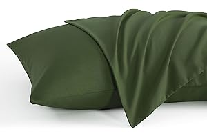 NTBAY Queen Pillow Cases Set of 2, 2 Pack Brushed Microfiber 20x30 Pillow Cases, Soft, Wrinkle, Fade, Stain Resistant Olive G