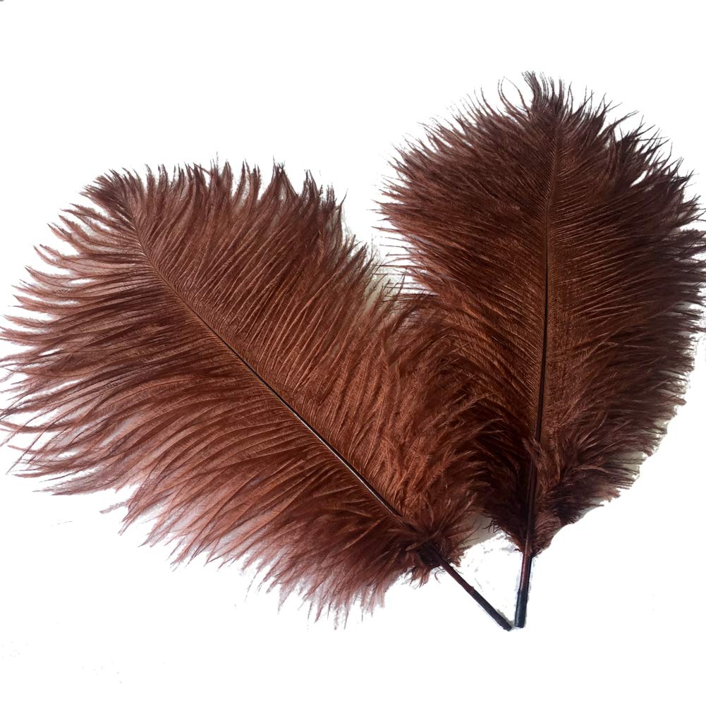 Sowder 14-16inch(35-40cm) Ostrich Feathers Plume for Wedding Centerpieces Home Decoration Pack of 10pcs(brown)