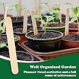 KINGLAKE 50Pcs Wooden Plant Labels with Marker Pen 15x1.6cm Garden Tags view 4