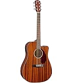 Amazon.com: Fender Paramount PM-1 NE Standard Dreadnought