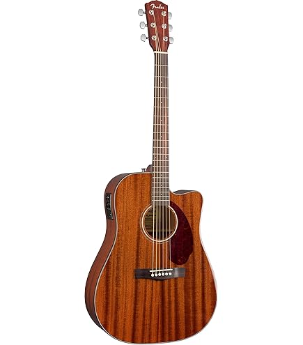 Amazon.com: Fender Paramount PM-1 NE Standard Dreadnought