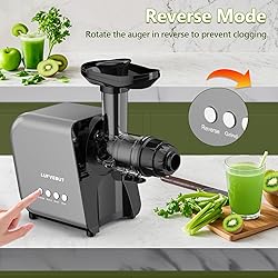 Slow Juicer Carrot Ginger, 250W Cold Press Juicer