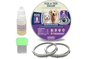 QUIVANTA Flea Collar for Dogs 8 Months Long Lasting Flea & Tick Collar for Dogs Fits All Breed Sizes Dog Flea Collar Adjustable Waterproof Dog Flea and Tick Collar 2 Pack