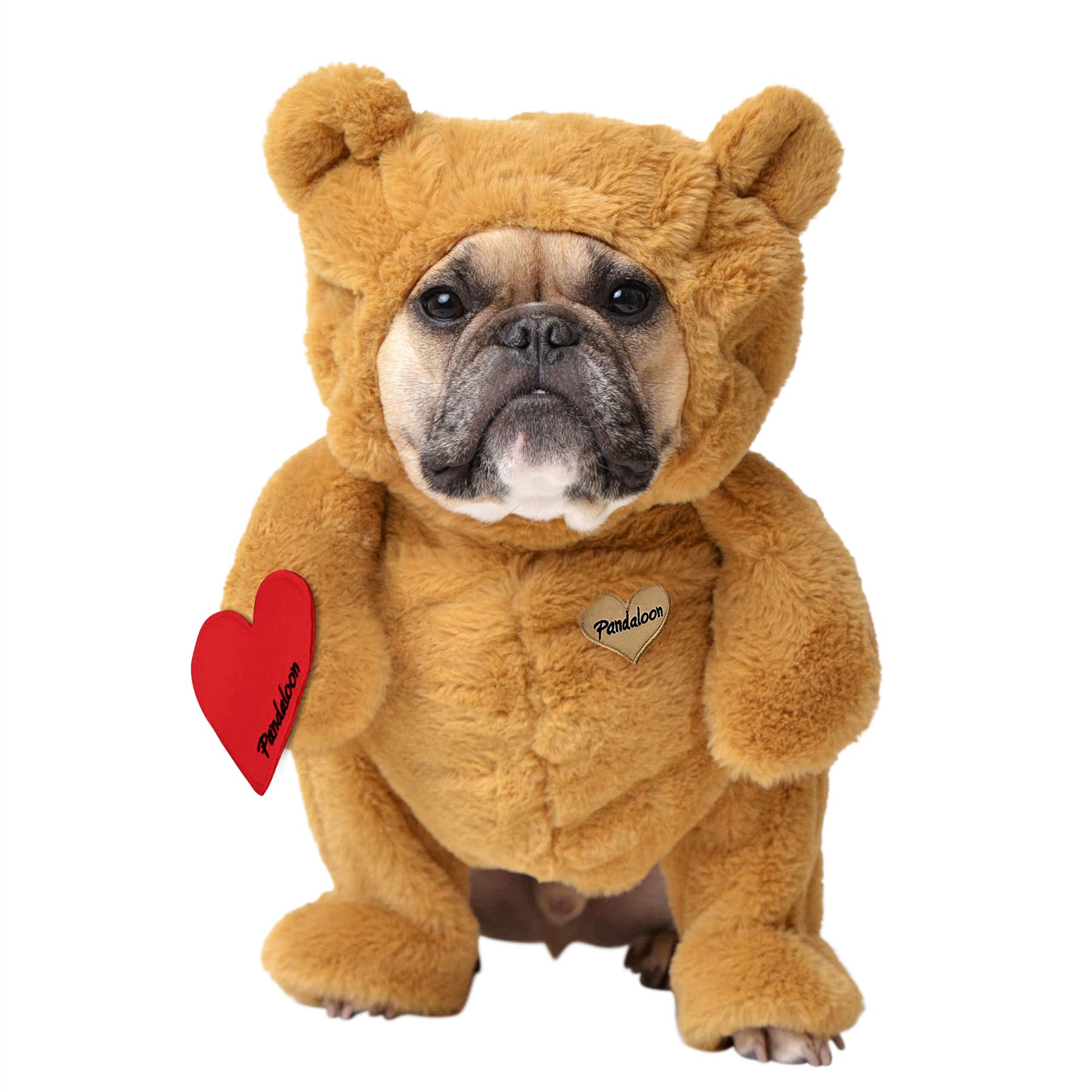 Pandaloon Dog Halloween Costume - As Seen on Shark Tank - Patented - Funny Costume with Arms for Small and Medium Dogs and Cats (Teddy Bear, Size 4(20-23 in Height at TOP of Head,Girth<27 in))