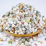 TOYPOPOR Mixed Color Decorative Rocks Stones