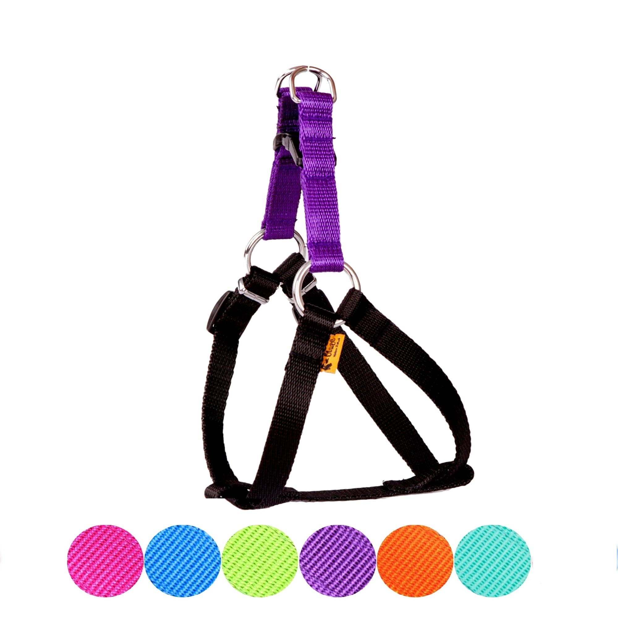 View 5