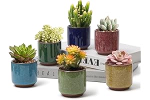 T4U 2.5 Inch Small Ceramic Succulent Planter Pot with Drainage Hole Set of 6, Ice Crack Glaze Plant Container for Cactus, Succulent Plant Gifts for Women Mom Aunt Home Office Decor