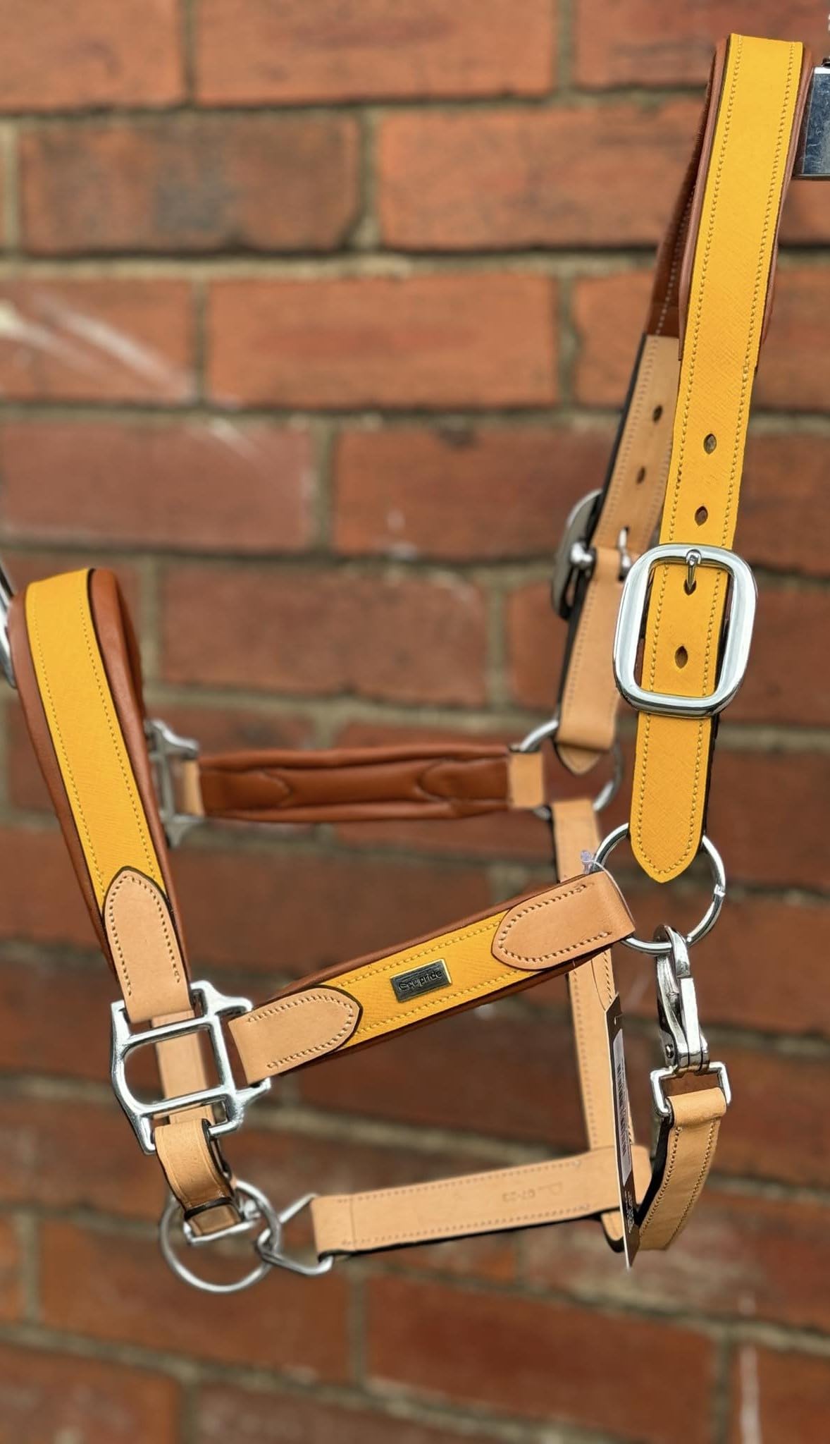 ARGENTINIAN LEATHER HEADCOLLAR HALTER COW LEATHER EXTRMELY SOFT LEATHER YELLOW (Cob)