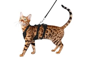 GoGoPaw Cat Harness and Leash Set for Walking, Escape Proof Soft Vest Harness for Cats, Adjustable Reflective Kitten Harness for Small Medium Large Cats, Breathable Kitty Harness, Black M