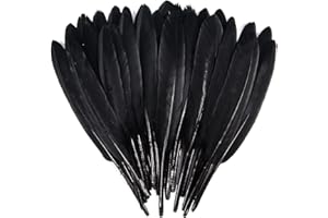 FeelfunFeather 120pcs Black Goose Cochettes Feather Natural bulk 4-6 inch 10-15cm for Wedding Party Christmas Halloween Decor