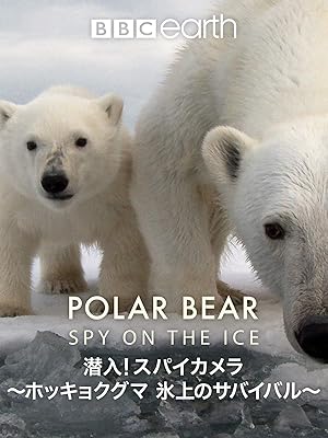 潜入！スパイカメラ ホッキョクグマ 氷上のサバイバル(字幕版)