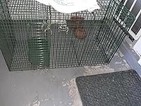 Review Image by Thelasvegastrappinggirls