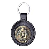 Wisdompro PU Leather Coin Holder Keychain for AA