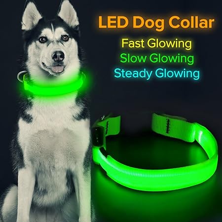 dog collar light rechargeable