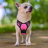 rabbitgoo Small Dog Harness No Pull Reflective Rose Red Easy Control Handle view 9