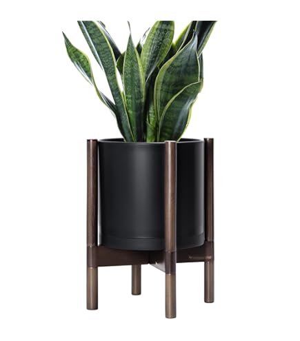 Amazon.com : D'vine Dev Ceramic Planter with Walnut Color Stand