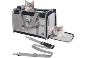 TIYOLAT Pet Carrier for Large Cats of 20 Lbs,Collapsible Carrier Bag for Big Cat or 2 Kittens,Soft Sided Puppy Carrier with Sturdy Travel Transport Strap, Adequate Ventilation, 4 Mesh Windows (Black)