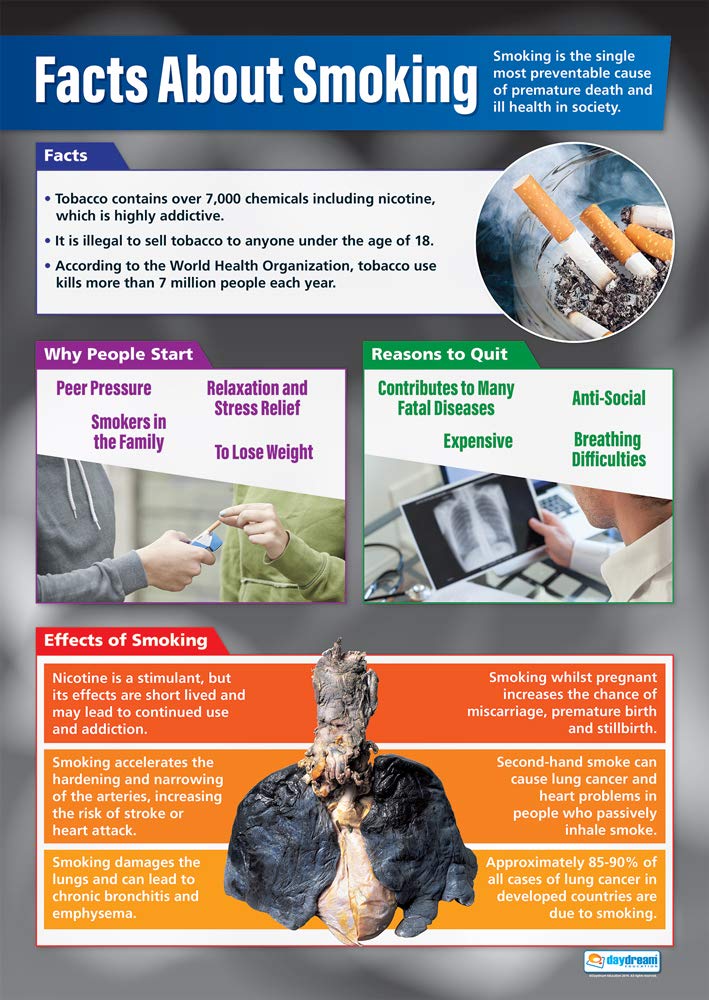 Daydream Education Smoking | PSHE Posters | Gloss Paper measuring 850mm x 594mm (A1) | PSE Classroom Posters | Education Charts
