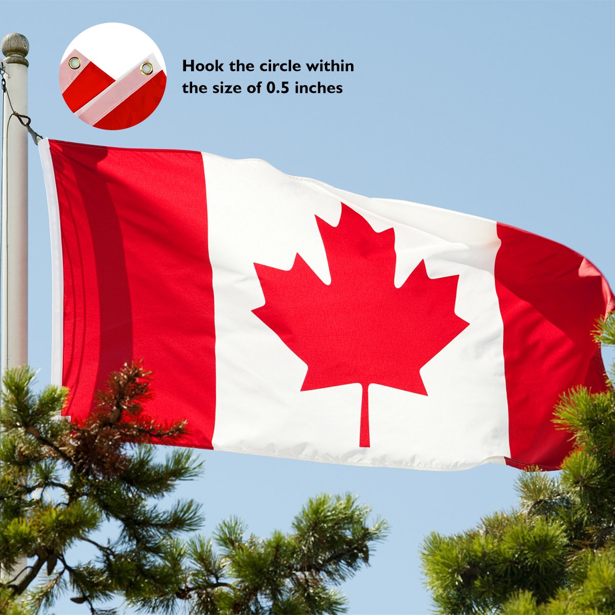 Canada Flag 5 x 3 FT/150 x 90 CM Polyester Flag Perfect for Outdoor & Indoor Large Canadian Flag