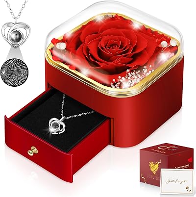 Hnustbo Eternal Rose Gift Set with Necklace for Women, Mum, Girlfriend