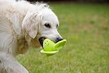 Petface Foodie Faces Fluffy Sprout Plush Dog Toy with Squeaker view 5