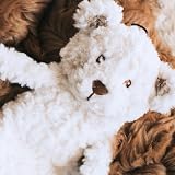 Rosewood MyDog Luxury Plush Bear Toy for Dogs 40cm Scent Compartment view 5