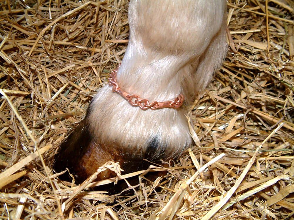 Fusions Horse Pony Animal Copper Magnetic Therapy Chain 4 Hoof With 4 Embedded Magnets