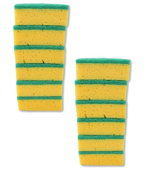 ALL-PURPOSE SPONGES FOR EVERYDAY CLEANING