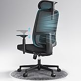 ErgoSift Ergonomic Office Chair Mesh Chair,Home Office Desk Chairs with Adjustable Lumbar Support, Comfortable Computer Gaming Chair, Office Chair for Long Hours (Black)