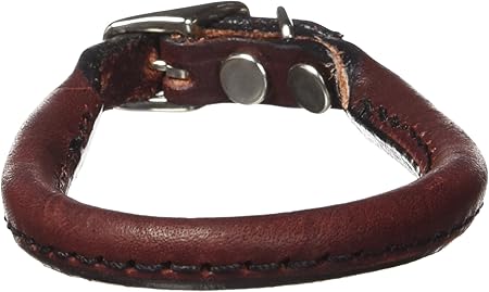 burgundy leather dog collar
