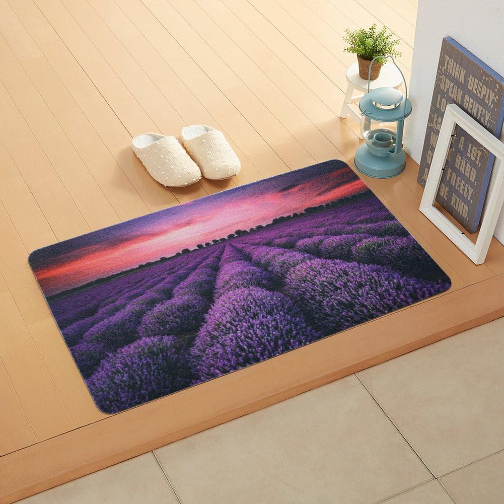 Amazon.de JKOPWLXGHWTC Indoormatten/Von Mat/BlumemattenC 80x120cm(31x47inch)